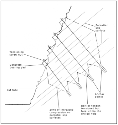 A diagrammatic cross section of multiple rock anchors.